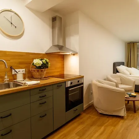 Tachov - Tiny House Apartment